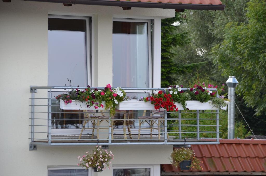 Hotel Zur Bruecke Greifswald Exterior photo